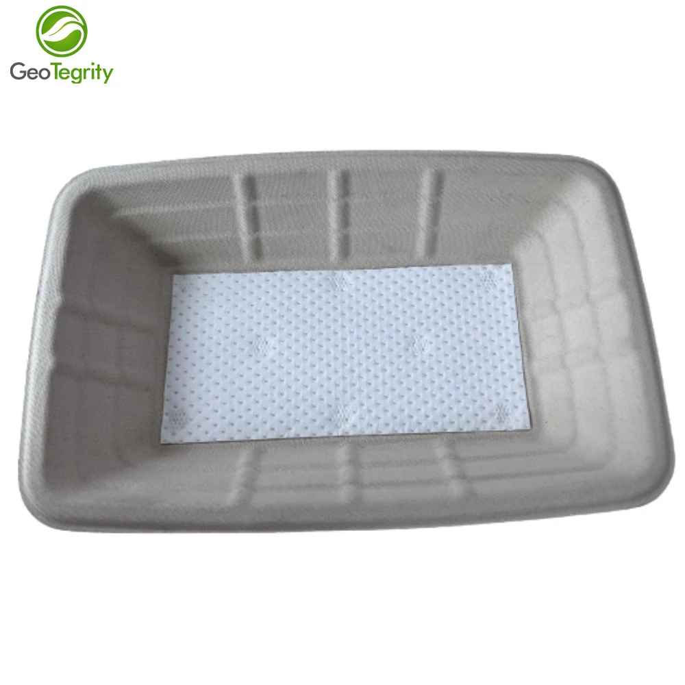 Disposable Eco Tableware Compostable Sugarcane Bagasse Meat Packing Tray With Absorbent Pad