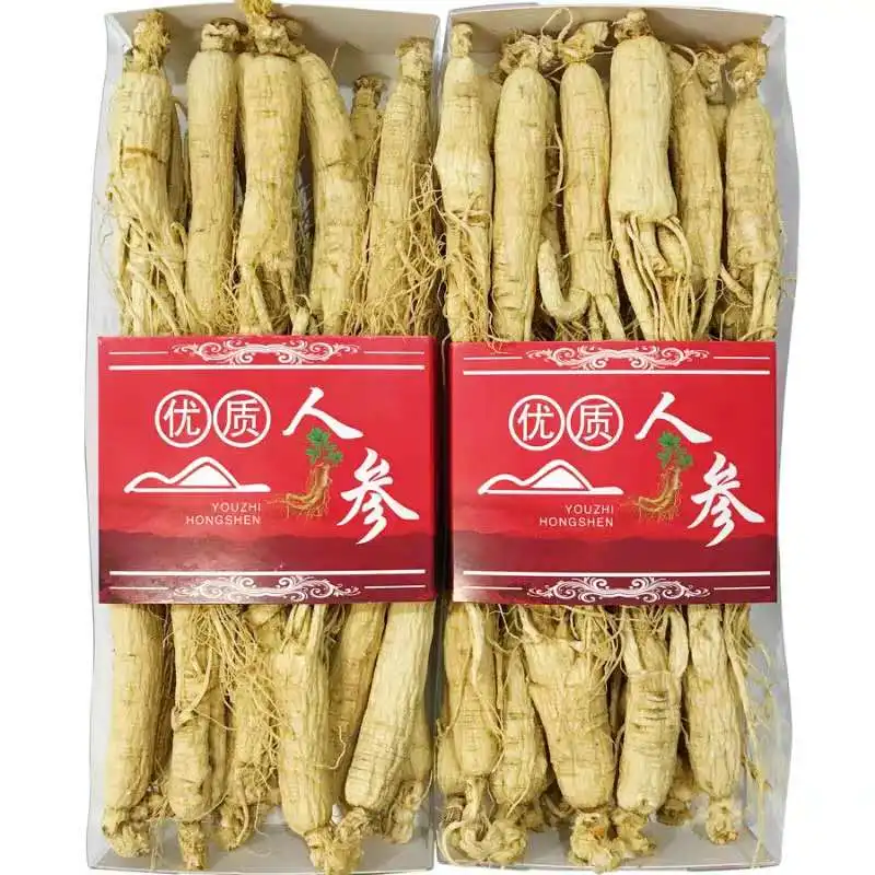 Free Samples Panax Root Korea Honey Red Ginseng Ginseng Korea