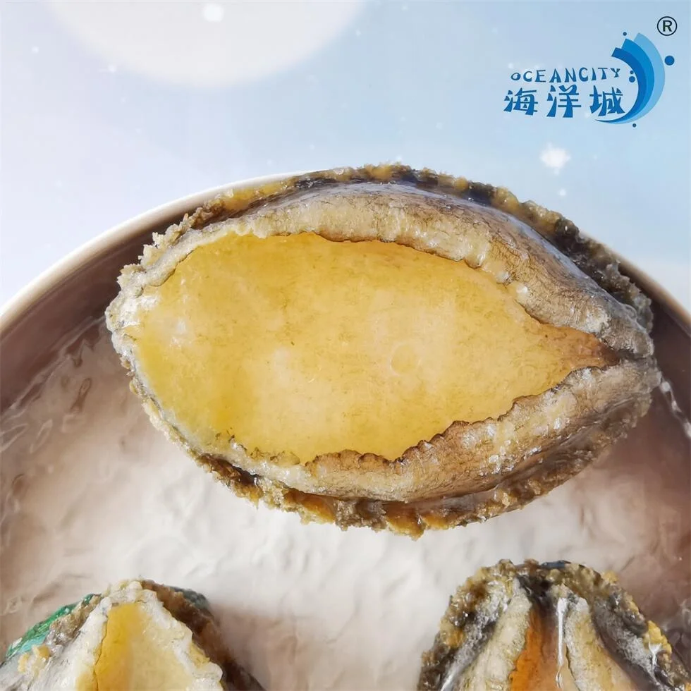 Оптовая Продажа с фабрики китайский продукт вкусные морепродукты моллюски морское ушко для продажи