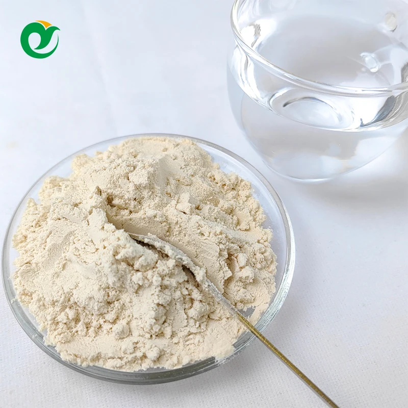 GMP  high quality low price isolate whey protein powder supplement for sports men  creatine for building muscle