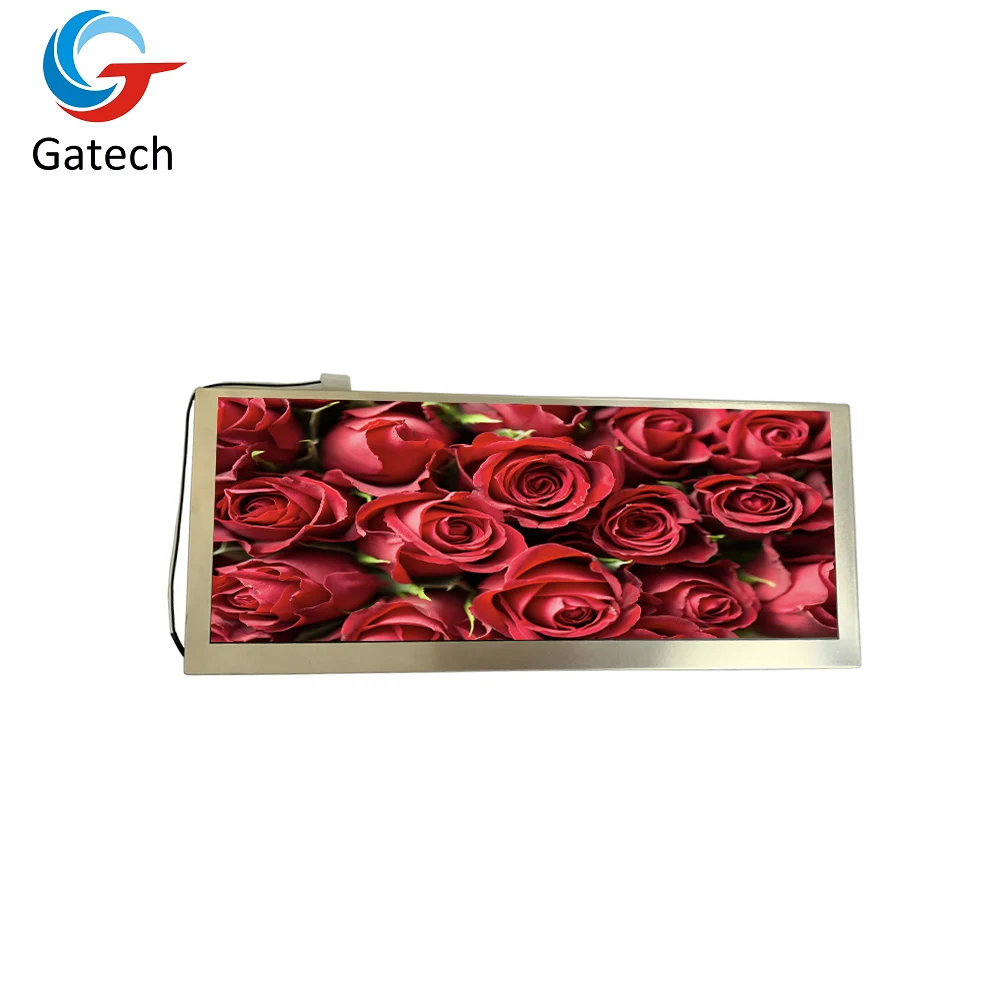 
wholesale outdoor 10.3 inch ips lcd display 1920*720 lcd display screen 
