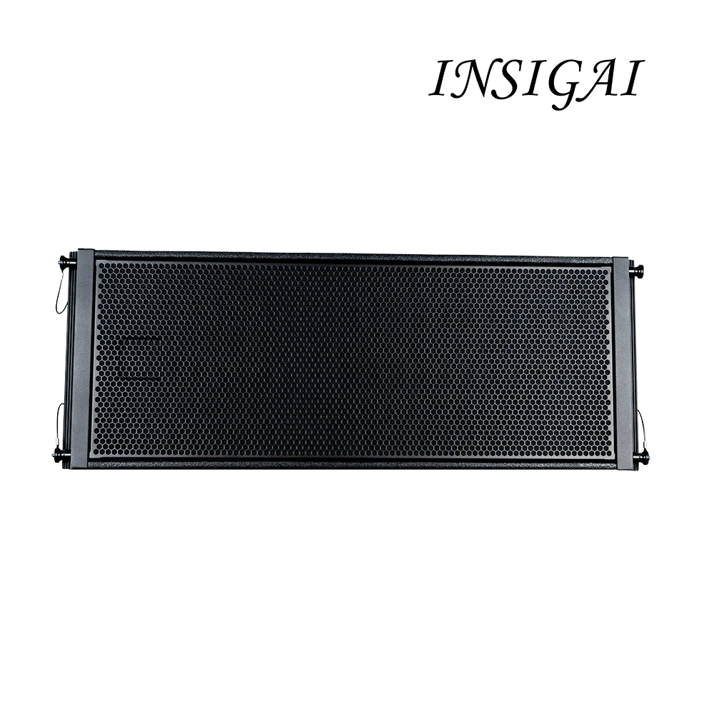 Professional Outdoor Concerts Stage Sound Equipment 700 Watts 10 inch Subwoofer Amplifiers Line Array Speakers