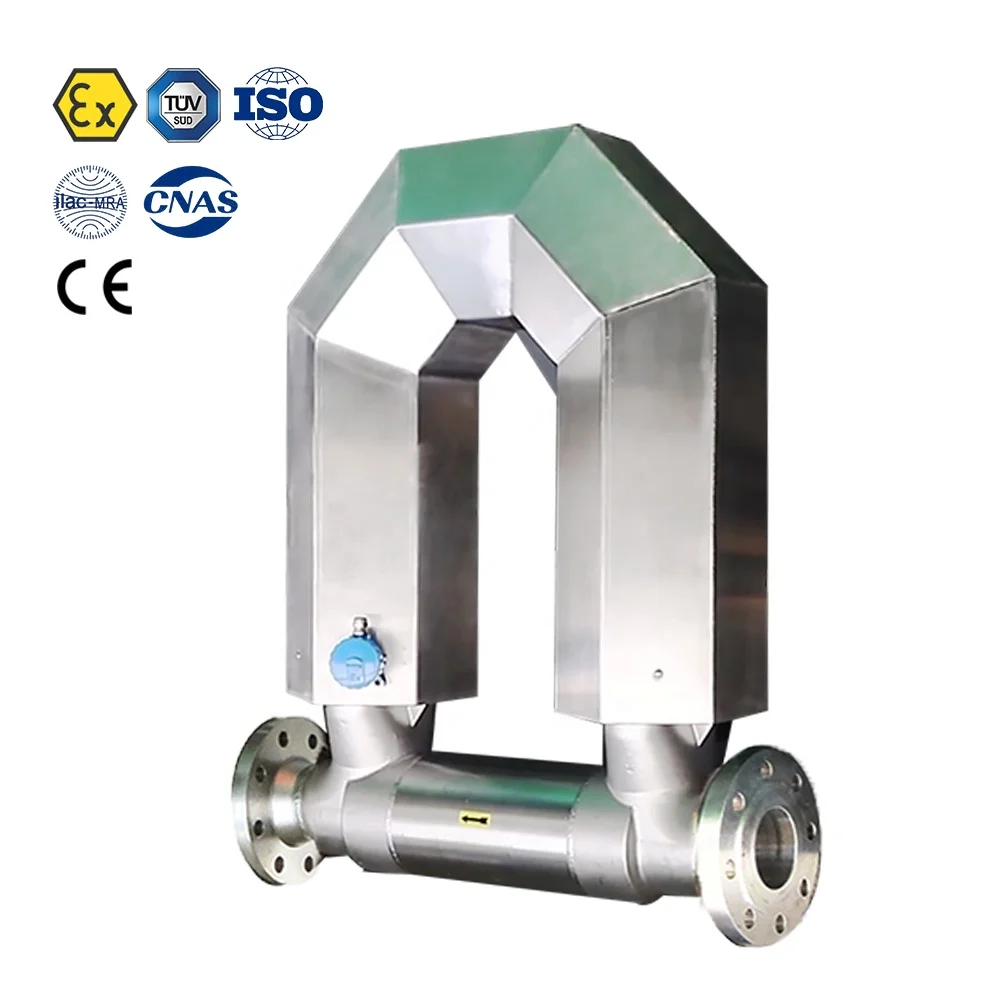 ATEX Approved 150mm Coriolis Mass Flow Meter