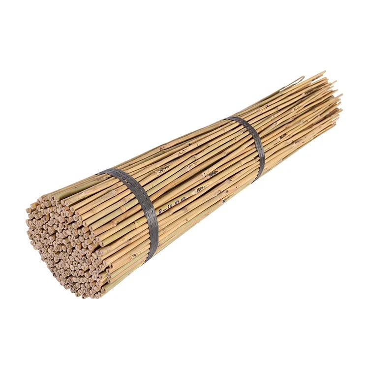 Chinese bamboo cane dia.8/10mm x 90cm for plant support
