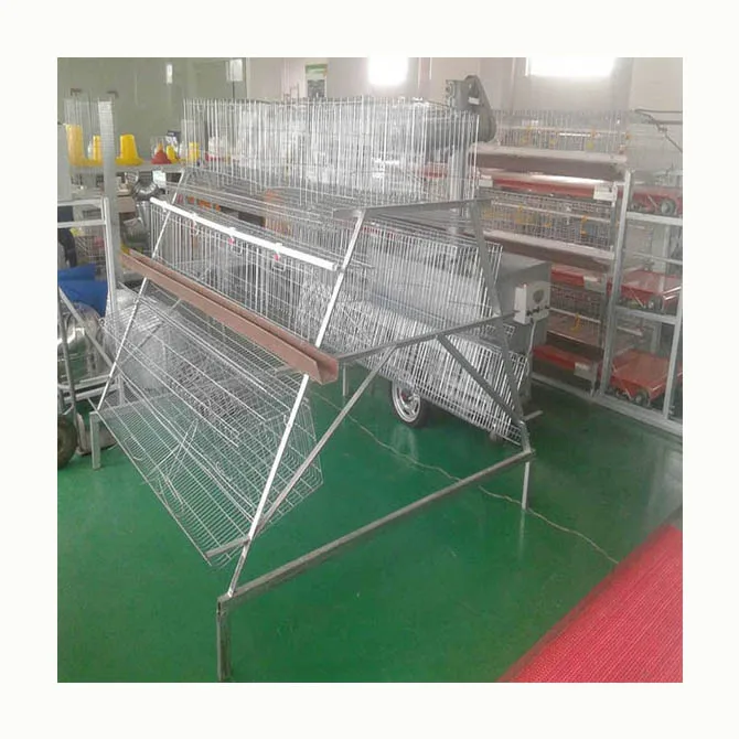 Лучшая цена, полипропиленовый конвейер, лента для навоза куриного слоя для клетки для птицы в Нигерии