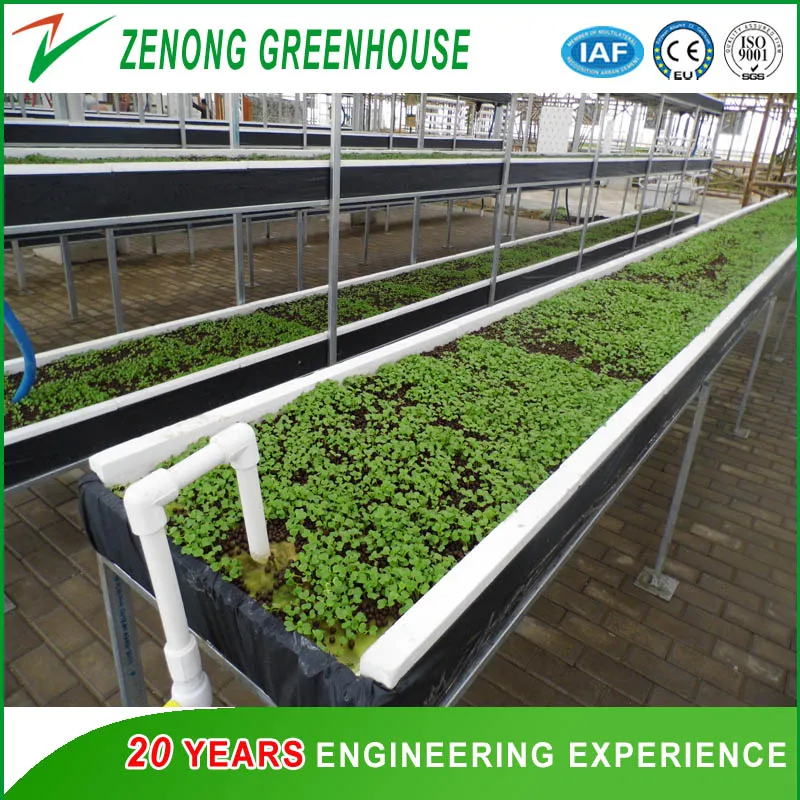 Hydroponic System Glass Greenhouse with Automatic Climate Control