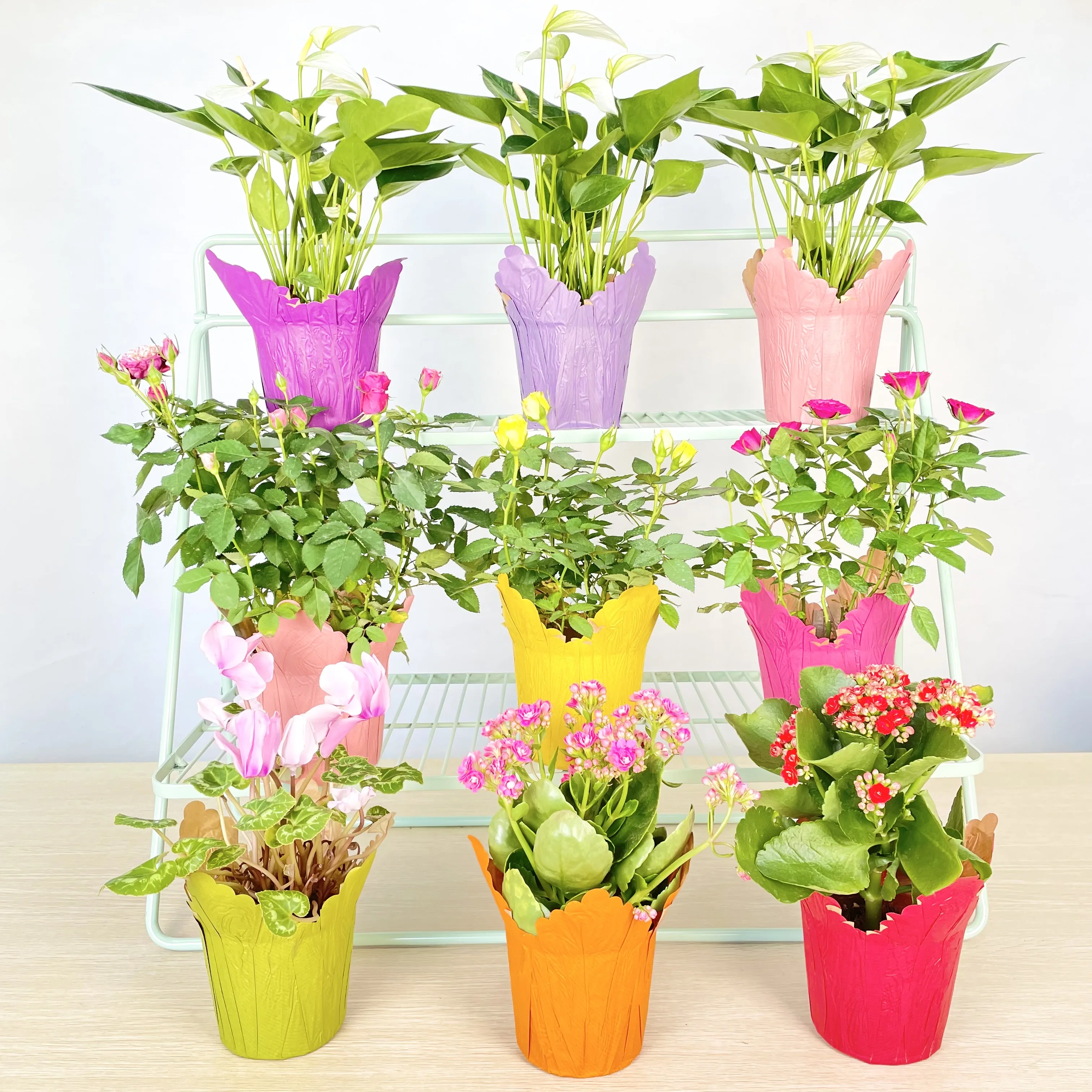 Home Decoration Potted Cover Holder Two Side Print  Kraft Paper Waterproof  Plant Pot Cover