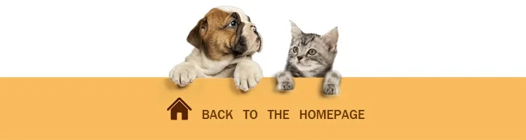 back to home