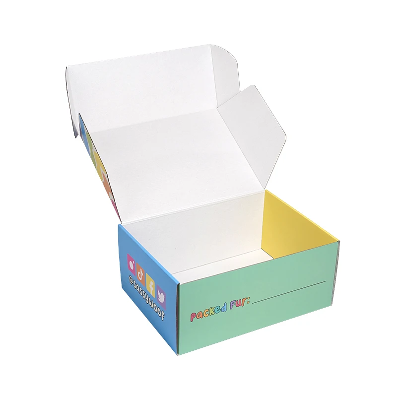 Shipping Corrugated Mailing Rigid Box Customized Full Printing Logo Pet Dog Cat Supplies Packaging Gift Present Paper Boxes Flat