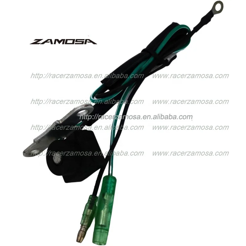3AMH 6L5-85592-M0 3 Malta 2 stroke Outboard Engine Pulser 3HP 5MH Boat Motor Pulser Coil Assy For Yamaha Marine Parts