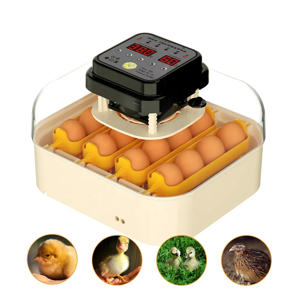 Hot sale new model 30 eggs smart automatic clear window chicken poultry egg incubators sale