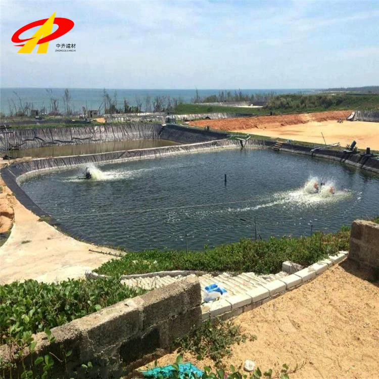 1.0mm 2mm Hdpe Geomembrane Liner Agriculture Dam Tilapia Fish Tank Farm Circle Pond Liner Geomembrane