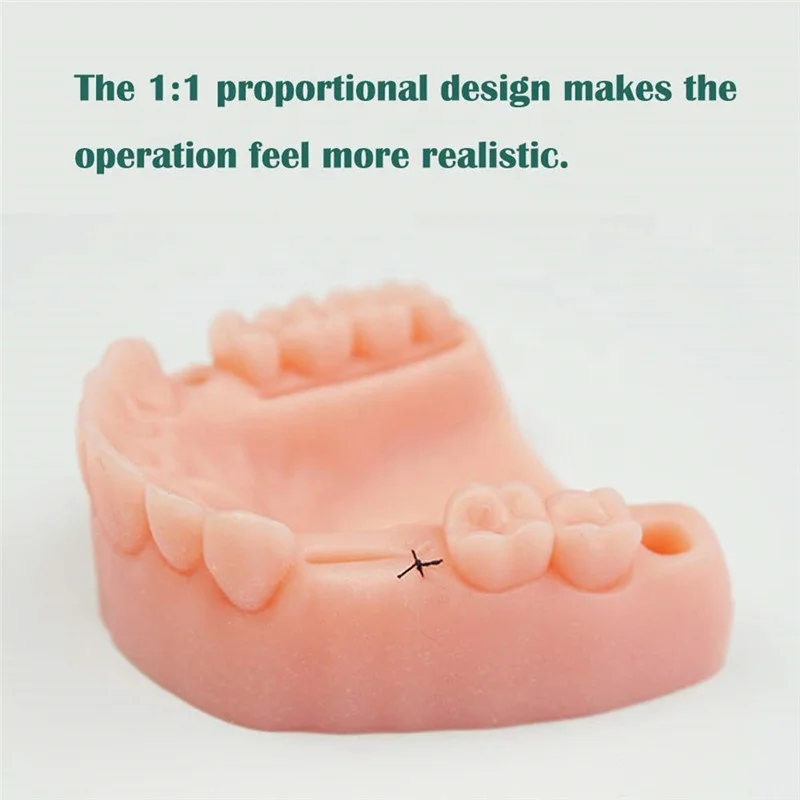 dental suture practise model