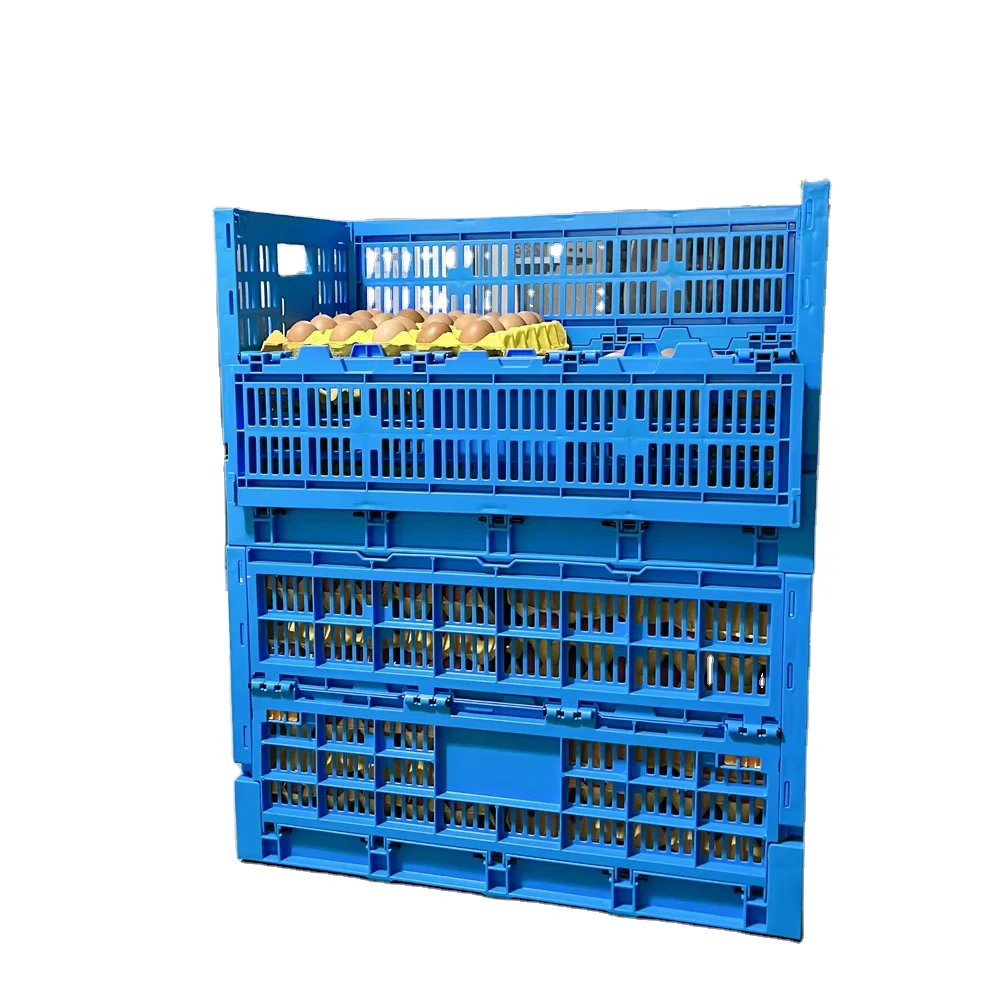 Collapsible Stackable & Nestable Chicken Transport Crate PP Mesh Plastic Egg Storage for Chicken Cages & Transport Boxes