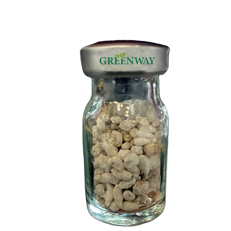 
Extracted Fresh Carps Natural Fish Hormone Veterinary CPG Carp Pituitary Gland For Fish Breeding 