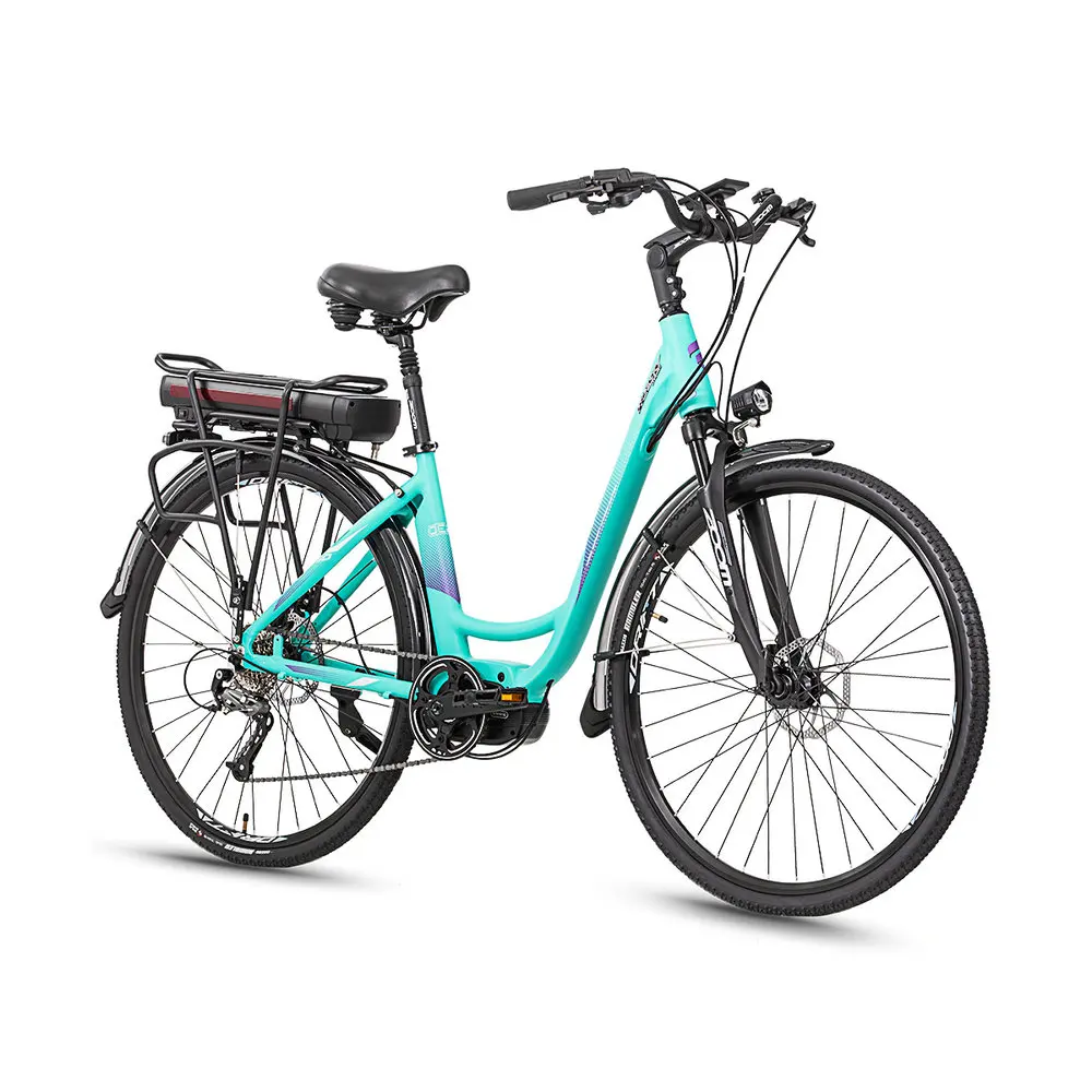 
Alloy Aluminum Frame 48V 10Ah Battery Removable E-bike 250W Motor City Electric Bike E Bycicle 