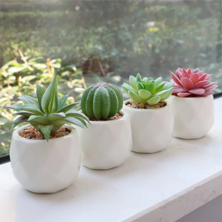 Diy Mini Office Decoration Cactus Ceramic Table Plants Succulent Pots Faux  Succulent In Ceramic Pot