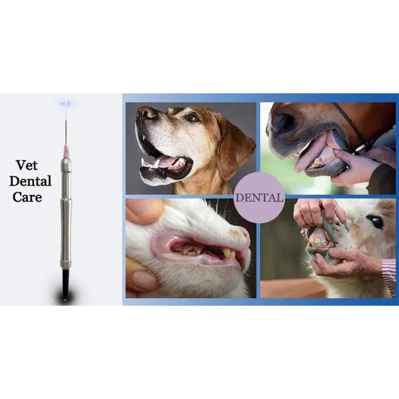 Hot Sales The Most Valuable New Generation 980Nm Wound Heating Pain Relief Pet Veterinary Laser Device Therapy