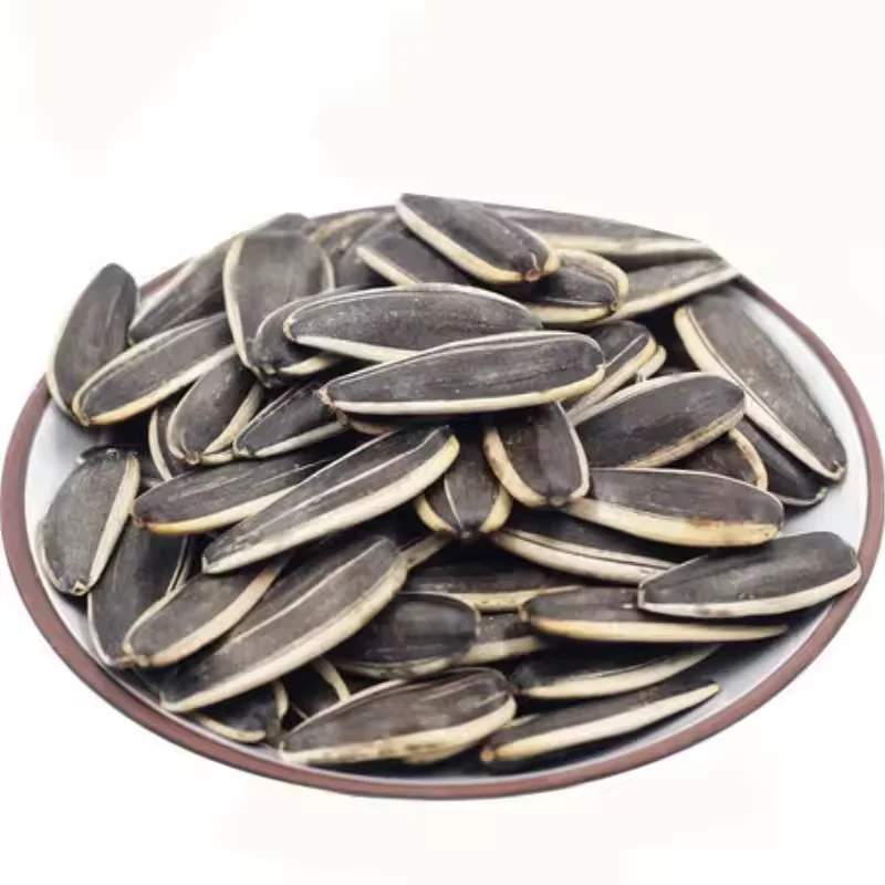 Inner Mongolia Supplier Wholesale  Sunflower Seeds High Quality and Cheap price