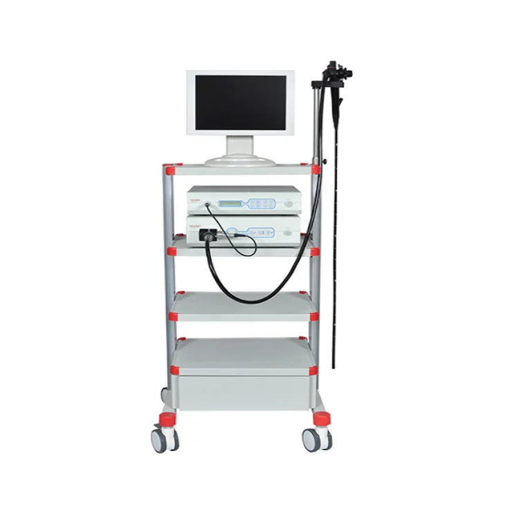 A-Faith 2022 VET-9000 Medical Endoscopy System with Electronic Video Gastroscope And Colonoscope Video Endoscape