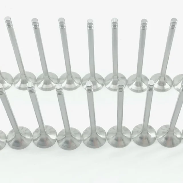 11342247077 LGH101450 Engine Intake Exhaust Valve for BMW E87 E46 E39 E60 E61 E53 M47 M57 N57N 306D2 306D3 306D5 MG Rover 204D2