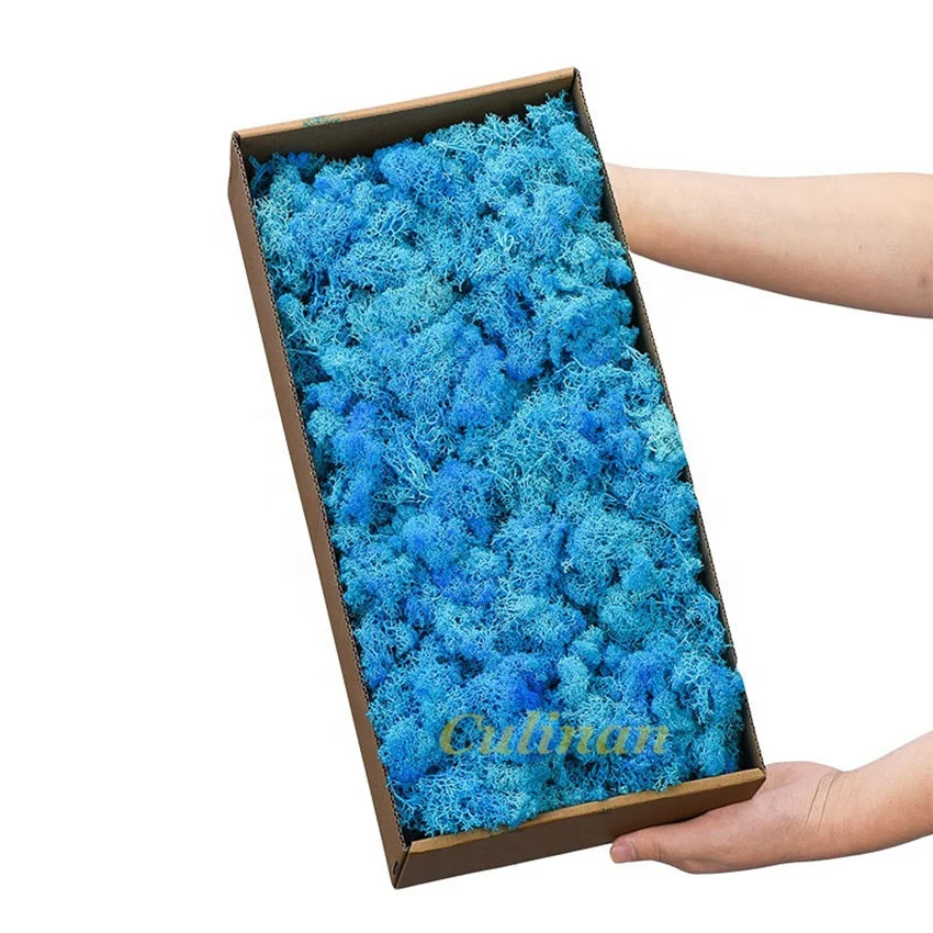 High quality China natural moss wall eternal dried preserved moss