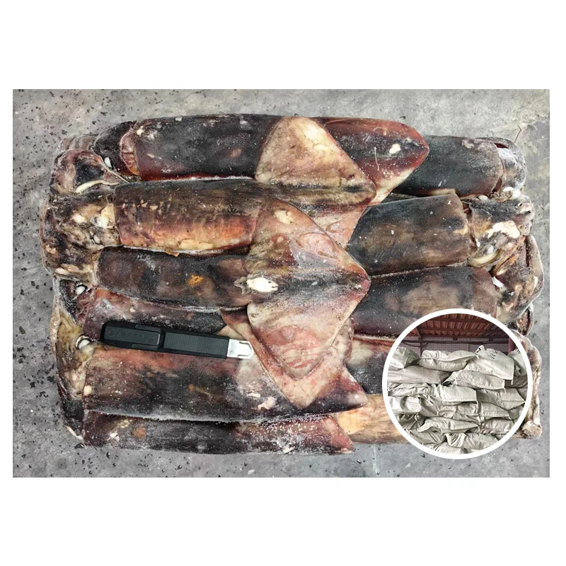 Good Quality Dosidicus Gigas Sea Frozen Giant  Whole Peru Squid