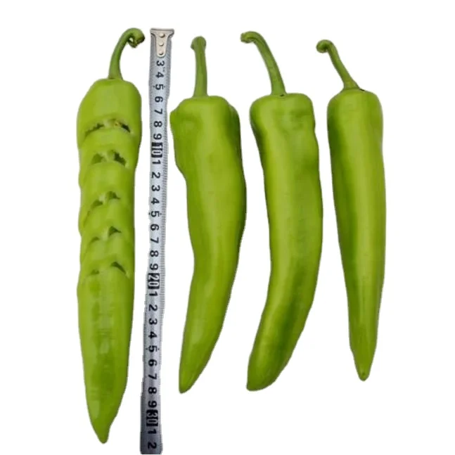 China Supply High Yield  Hybrid F1 Pepper Seeds for Planting