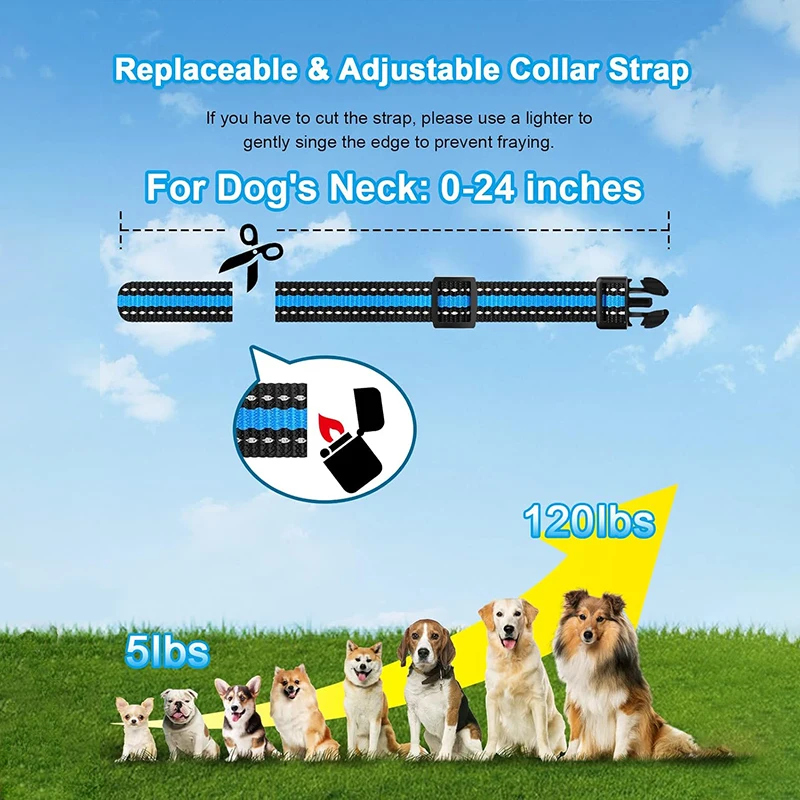 Factory Custom One Tow Two Dog Stop Bark Control Training Collar Remote Control Pet Stop Bark Shockproof Dog Collar