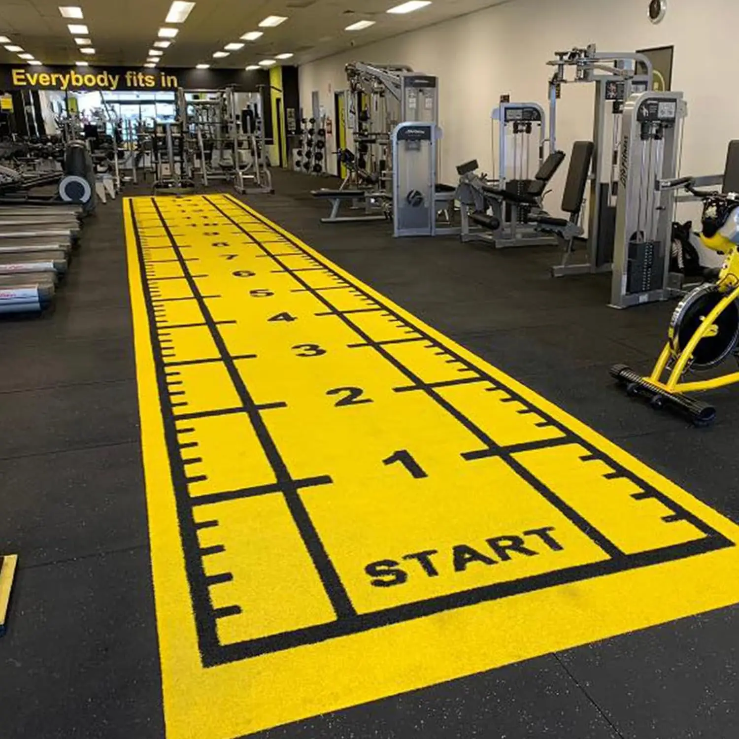 Sports Training Infill Synthetic Green Artificial Carpet Grass Turf Mat for the Gym Fitness Floor Round Track