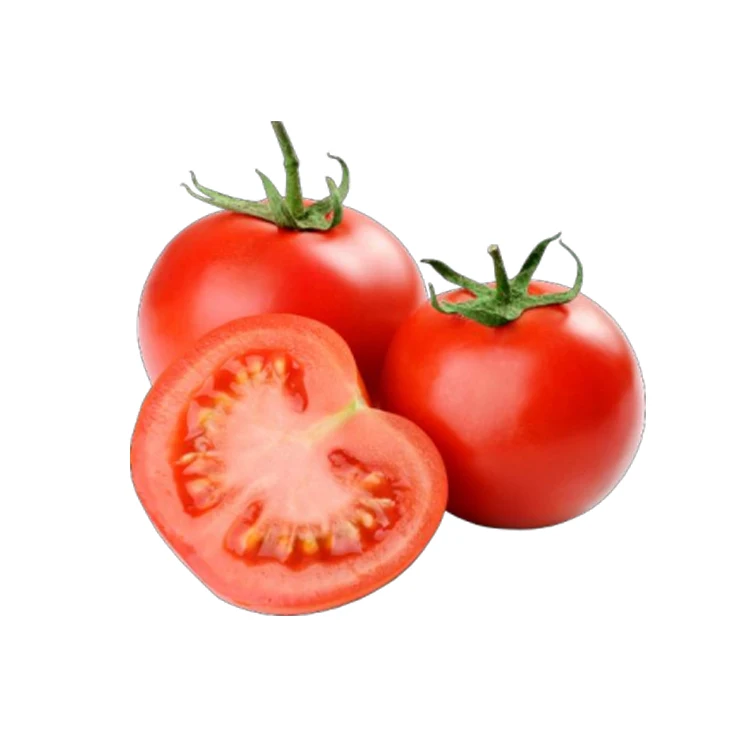 
Wholesale Box Style Storage Packaging Big Plastic Crates Fresh Tomatoes Tomatoes Fresh Organic 