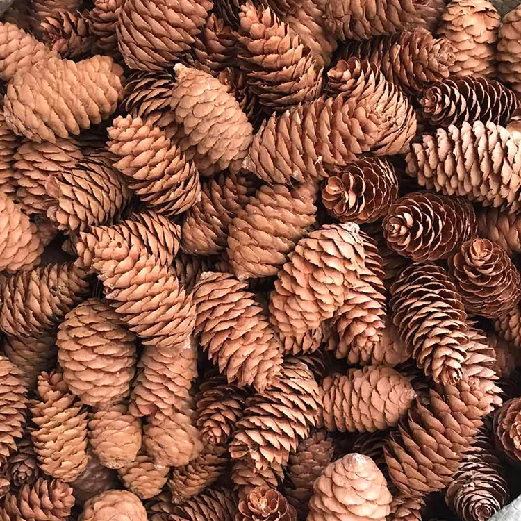 Деревянные натуральные сосновые конусы, Рождественская елка, подвесные сосновые конусы, украшения