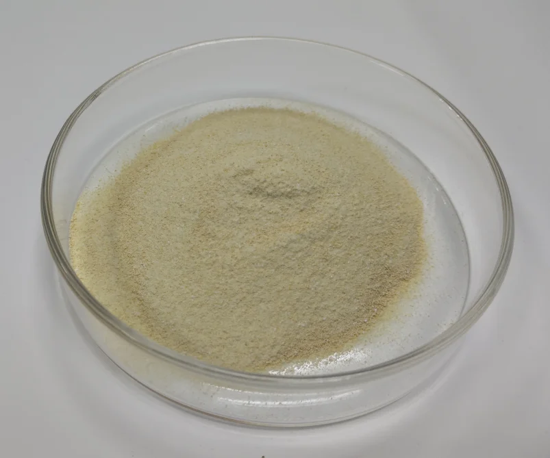 AGP replace solution AFEZYME LYCIN effective to gramnegative and grampositive bacterium