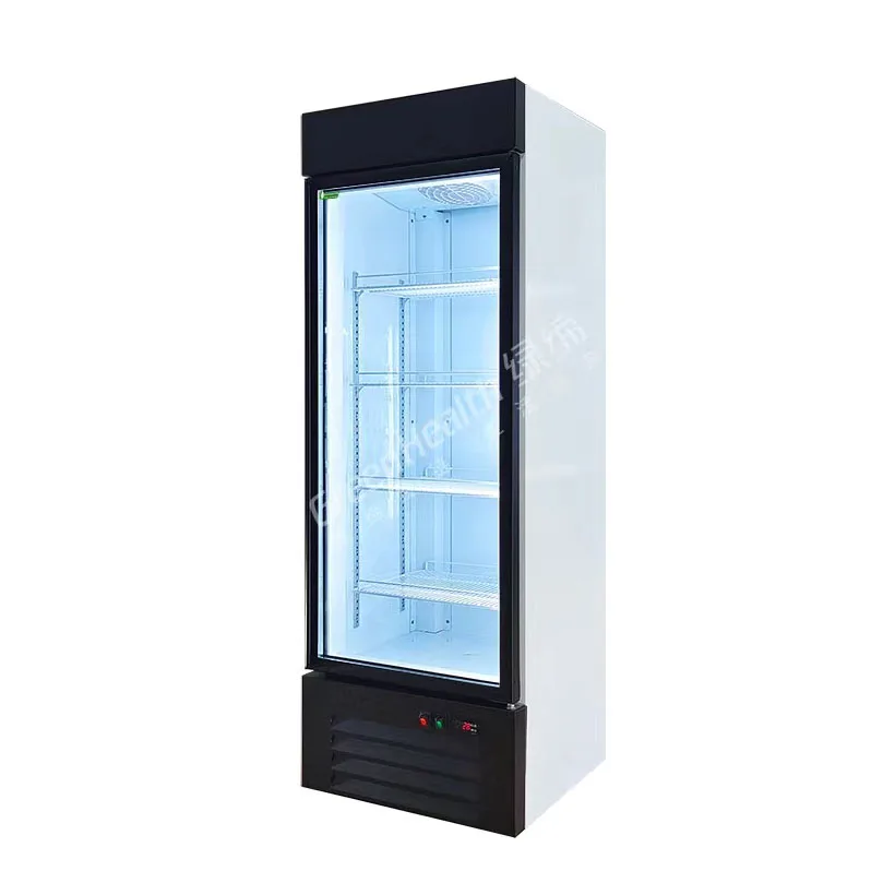 Painted Steel Fan Cooling Plastic Coated 220V Supermarket Glass Door Merchandising Cooler Beverage Refrigerator