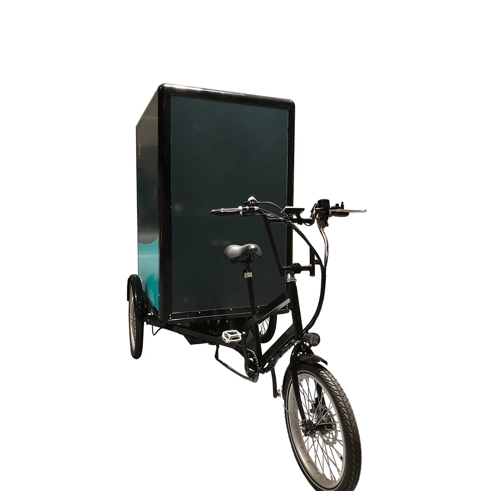 big capacity family 60v ebike recumbent trike bicycle trailer electric cargo bike tricycle susepension with throttles for sale