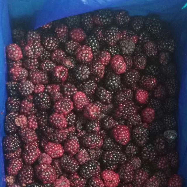 Новый сезон 2022, Blackberry IQF, оптовая продажа, Замороженные Ягоды, первоклассная пищевая служба Blackberry