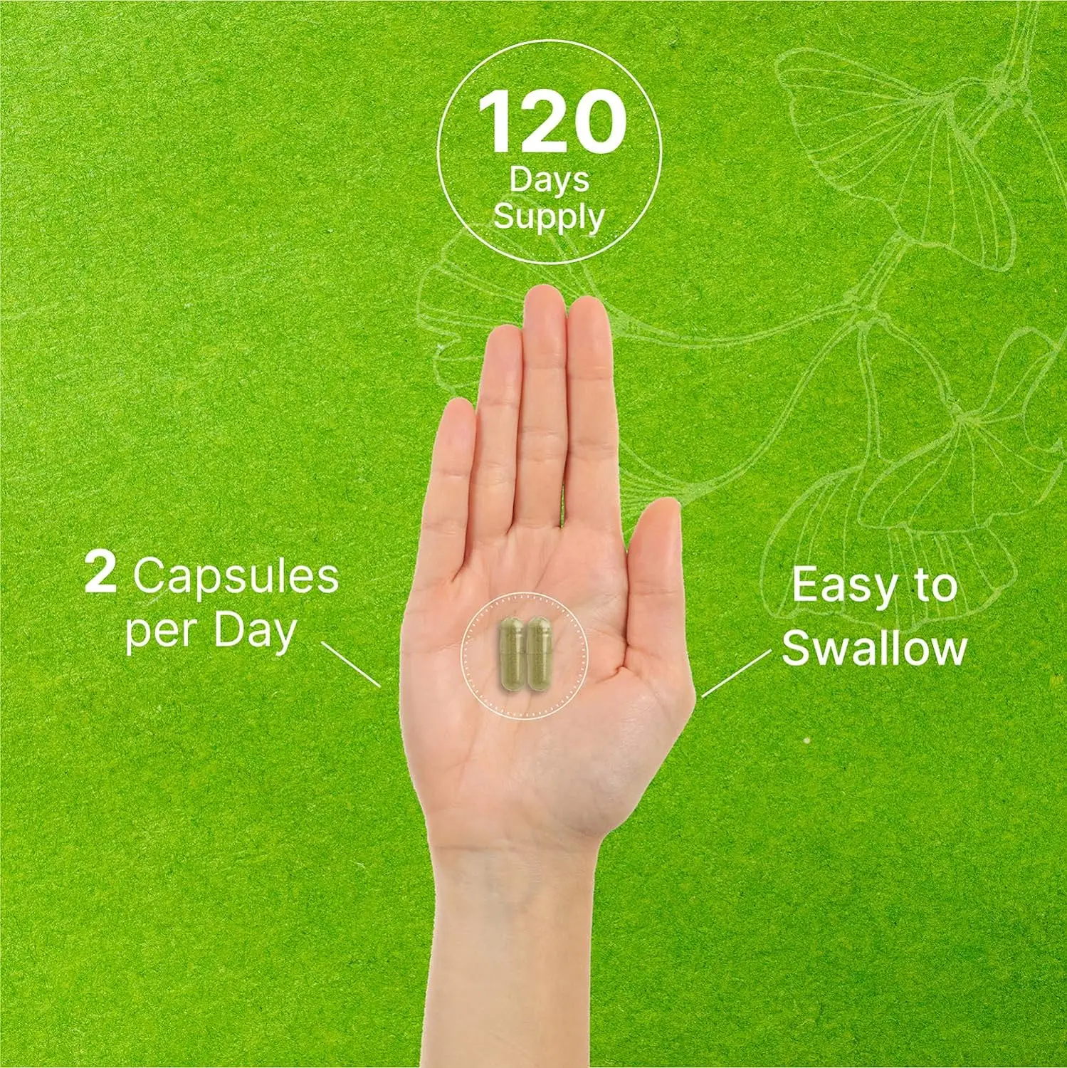 OEM Ginkgo Biloba 500mg capsule health food supports brain and memory function,organic materials