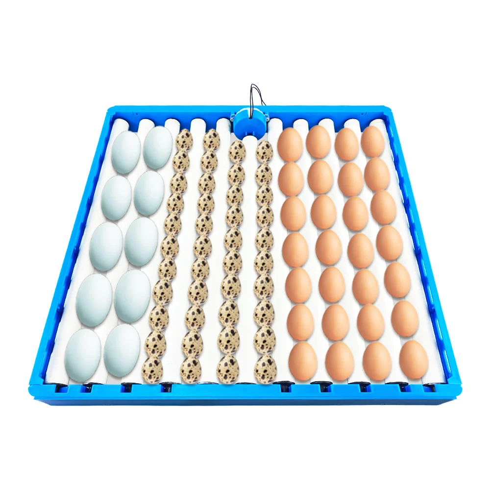 New Product Chicken Egg Incubator Trays Incubators 300 Eggs Mini For Hatching Cheap Brooder Dubai Hatcher Machine