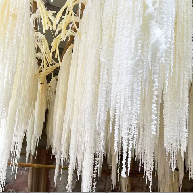 hanging amaranth preserved amaranthus red white black amaranths frozen preserved fresh real amaranth dry flower