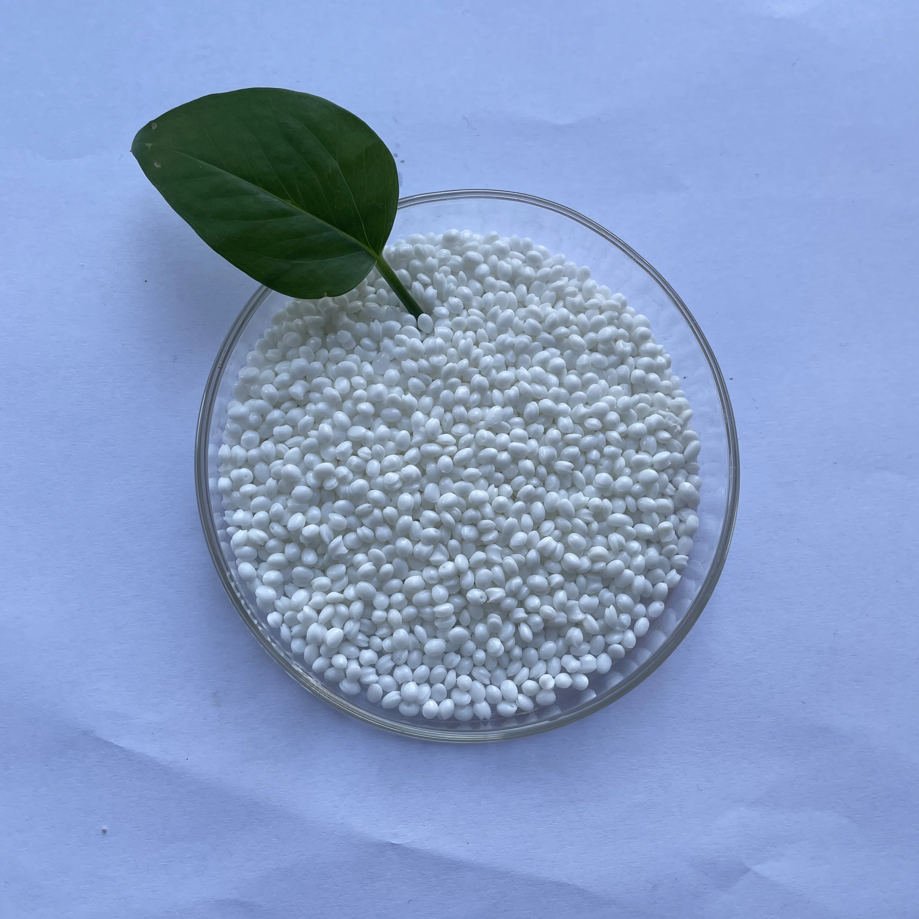 PP natural Particles, Thermal-Resistant Extrusion Film-Grade / PP Biodegradable plastic raw materials