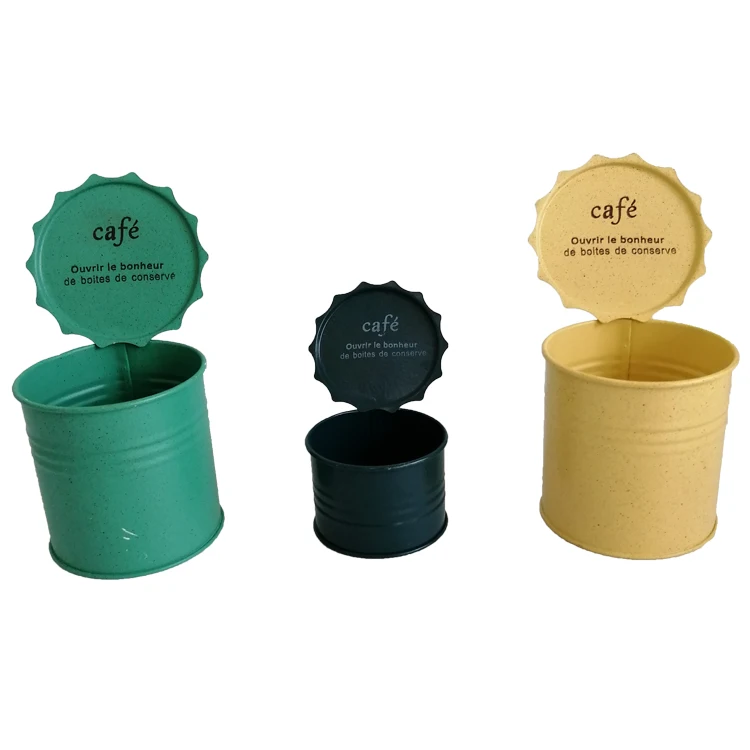 Flower&Garden Mini New Design Cacti  Succulent Bonsai Galvanized Metal Jar mini plant container with Metal Lid