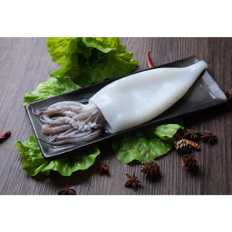 
Wholesaler seafood Frozen T+T SQUID TUBE 