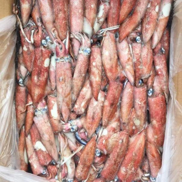 Лидер продаж 2019, высококачественный Китайский экспорт, оптовая продажа, лигого кальмар