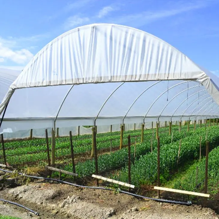  Multifunctional Greenhouse Cover Plastic Film for Agricultural/200micron /200 Um