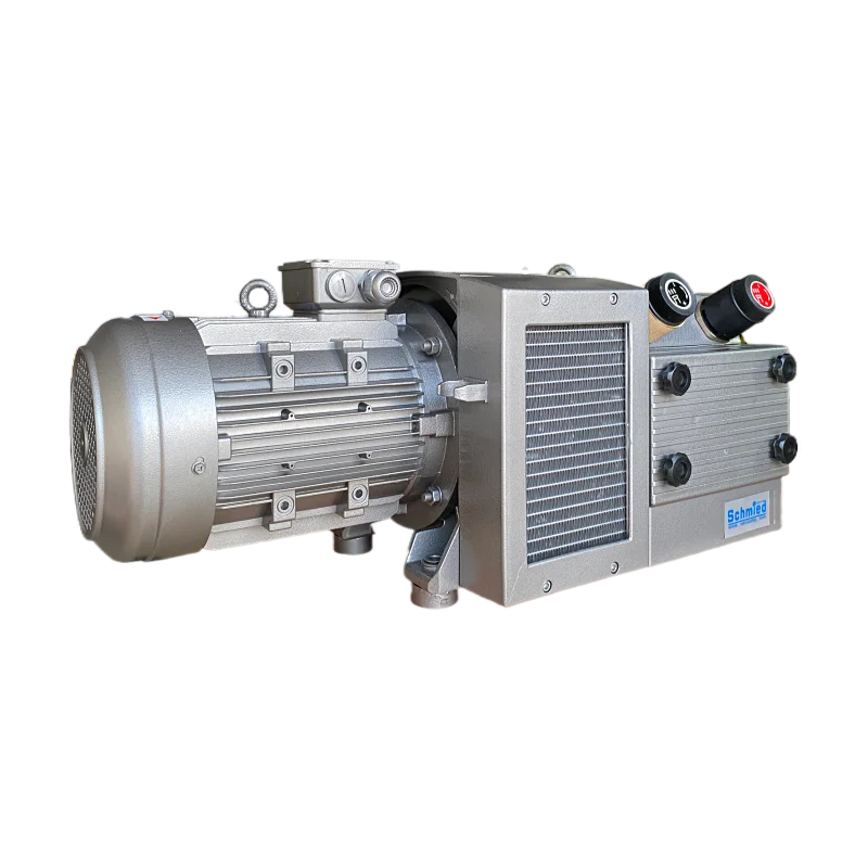 DVT Composite Dry Rotary Vane Vacuum Pump Industrial Printing Presses Oil-Free Air Pumps