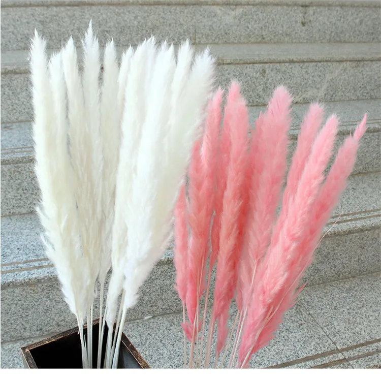 length wedding artificial pampas natural dried reed flower decorative pampas grass