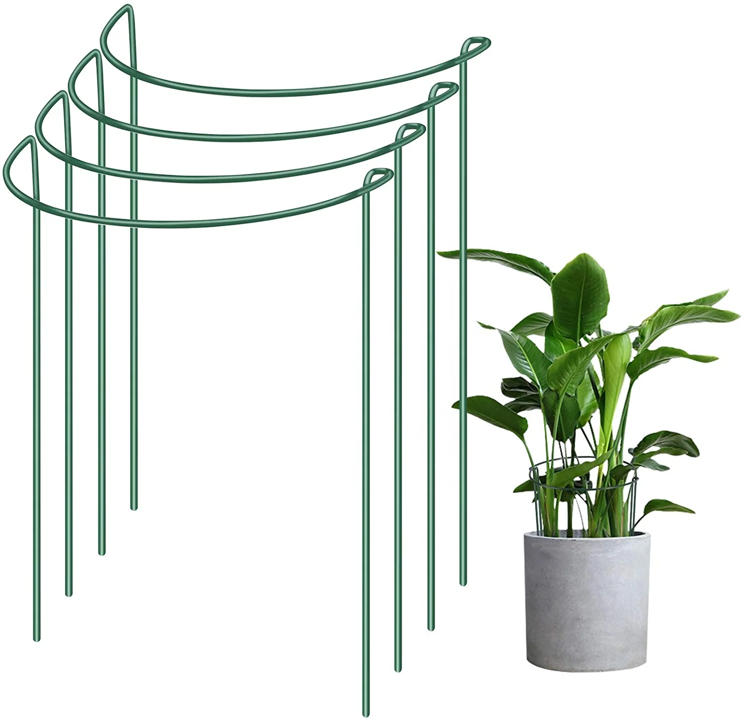 
Hot Selling Metal Wire Hoop Plant Support Stakes Half Round Green Garden Plant Supports Ring for Flower Vegetables 