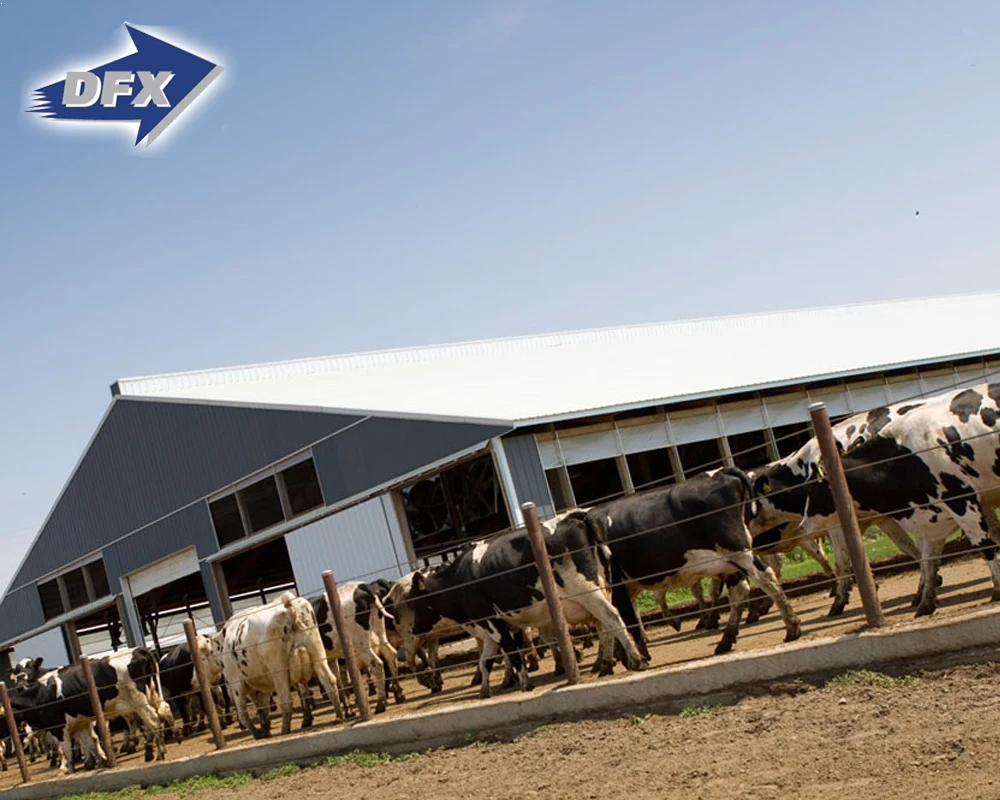 Сборные лошадиные лавки конструкция стальной конструкции бычья ферма сборные