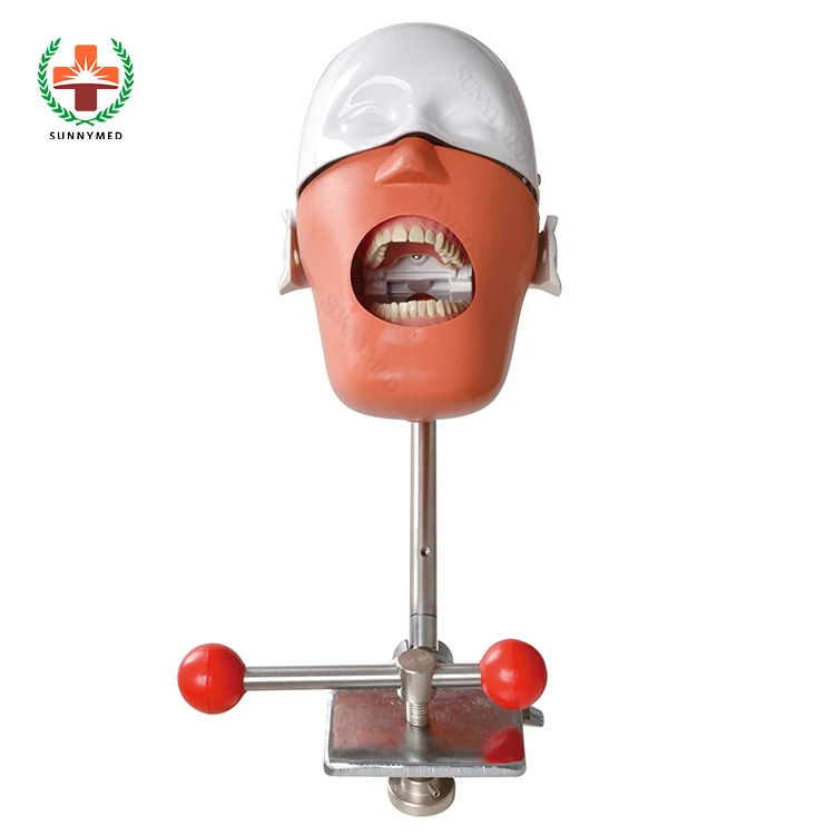 Manikin Medical Simulator System Phantom Teaching and Learning for Students