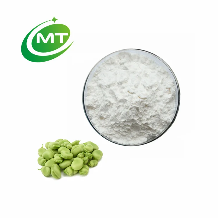 China Herb Manufacturer Supply Hot Sales Pure Organic Green Faba Bean Powder